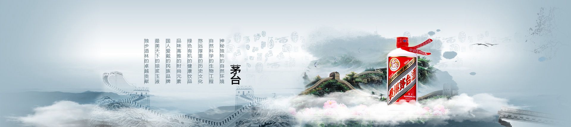 椰岛代理